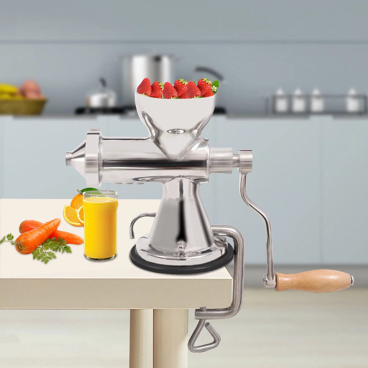 Manual Juicer Hand Fruit Vegetables Extractor R45113