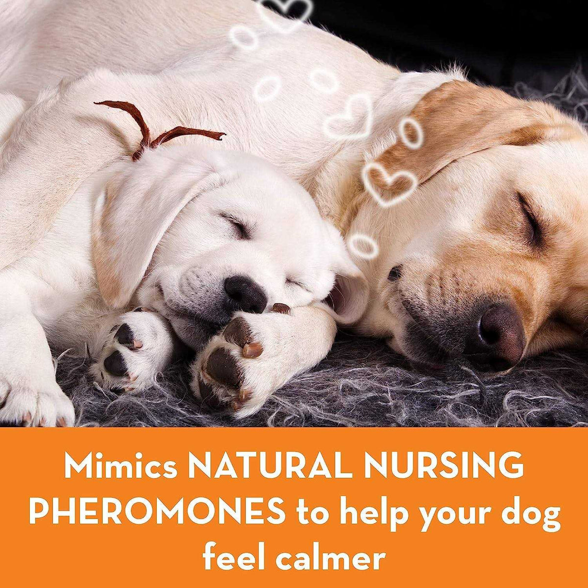 Calming Dog Collar X777
