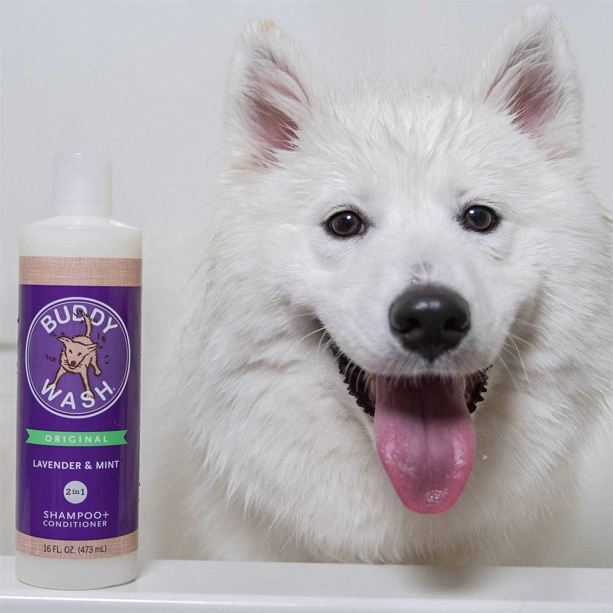 Lavender & Mint Dog Shampoo & Conditioner K649