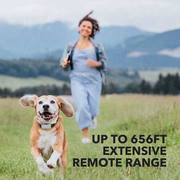 Dog Training System H171552