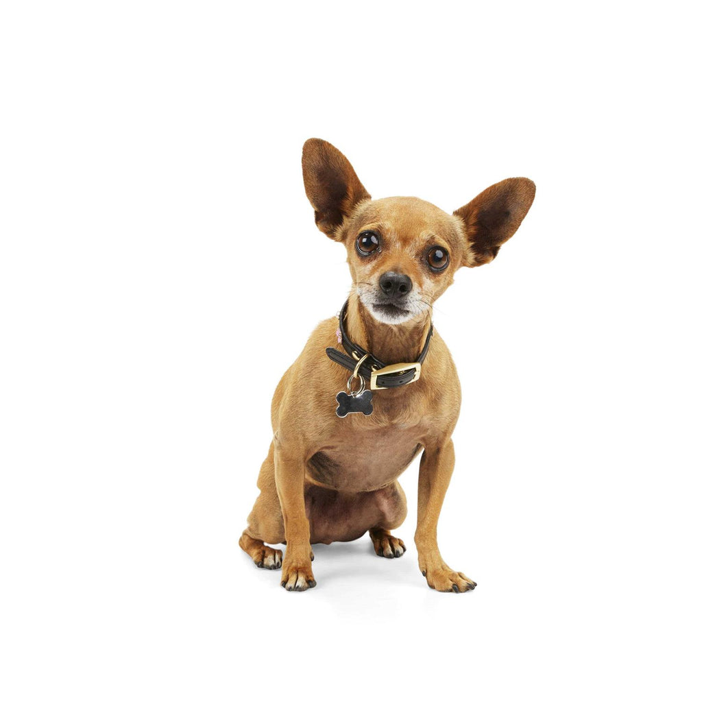 Flower Dog Collar U72910