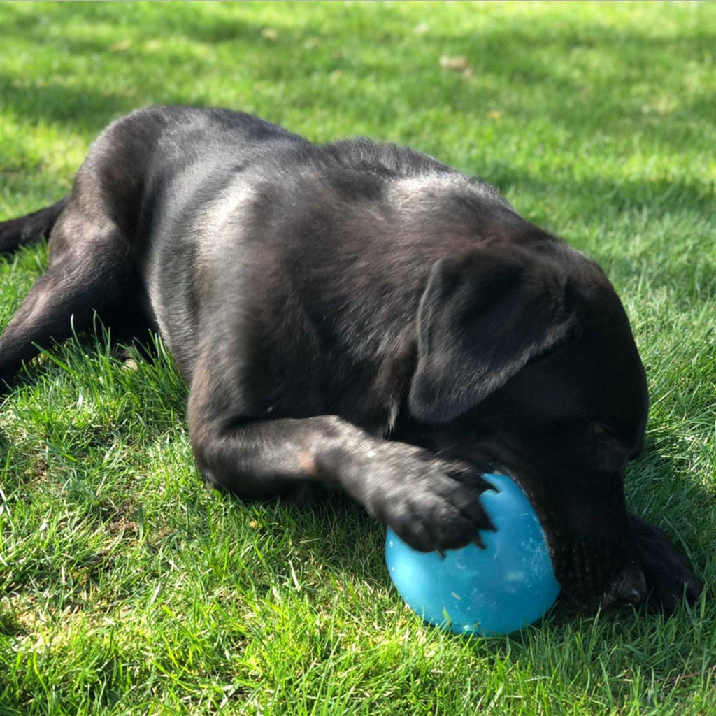 Orbee Tuff Dog Toy K201