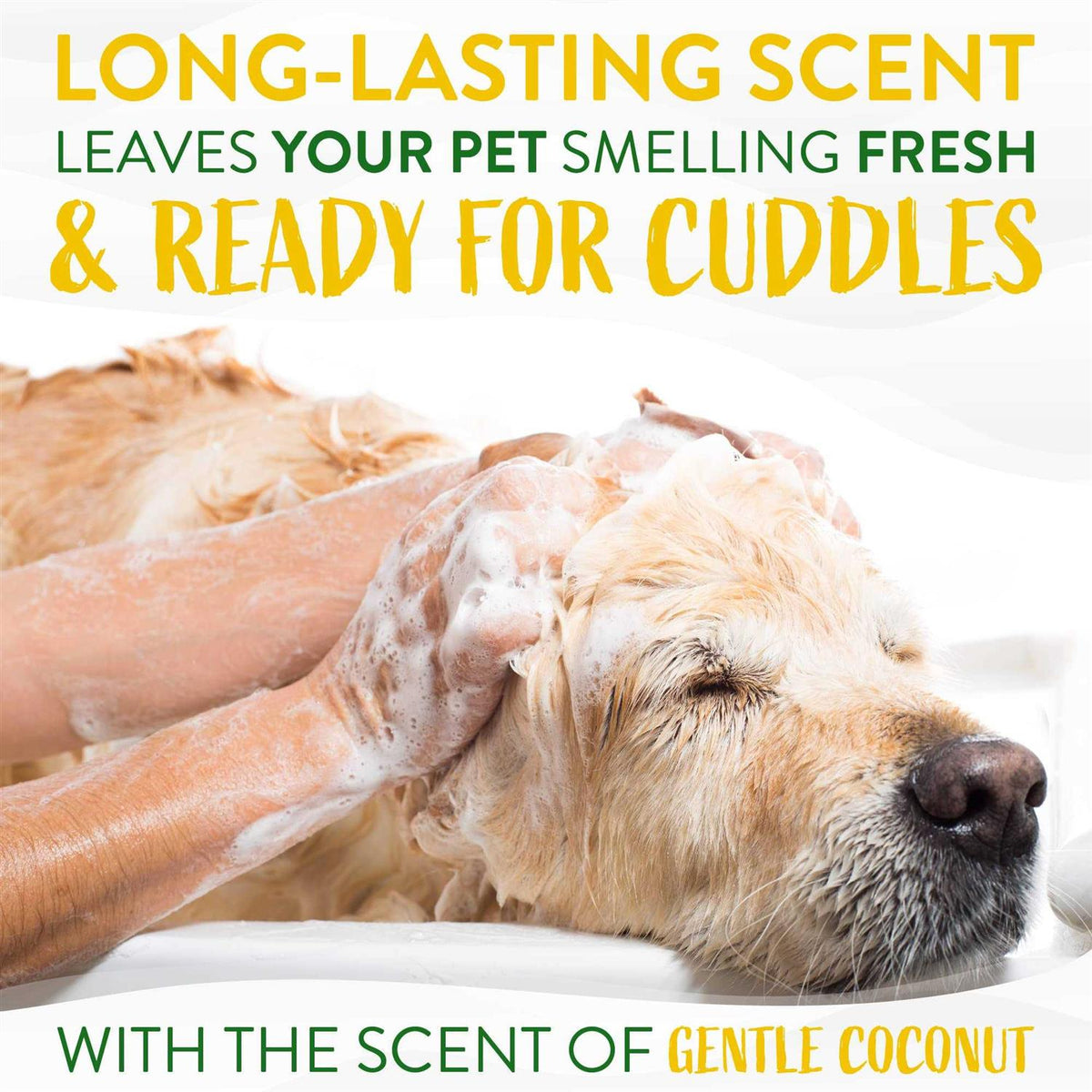Coconut Puppy Shampoo X776745
