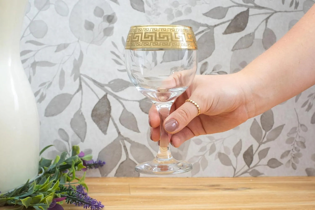 Wine Goblet Glasses 6 Pieces P657