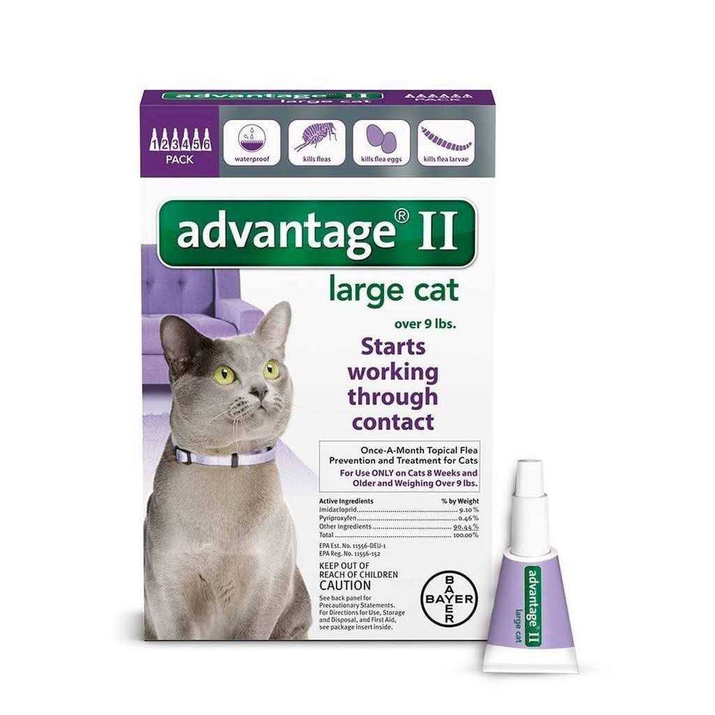 Large Cats Over 9 lbs L5632