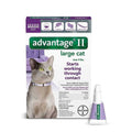 Large Cats Over 9 lbs L5632