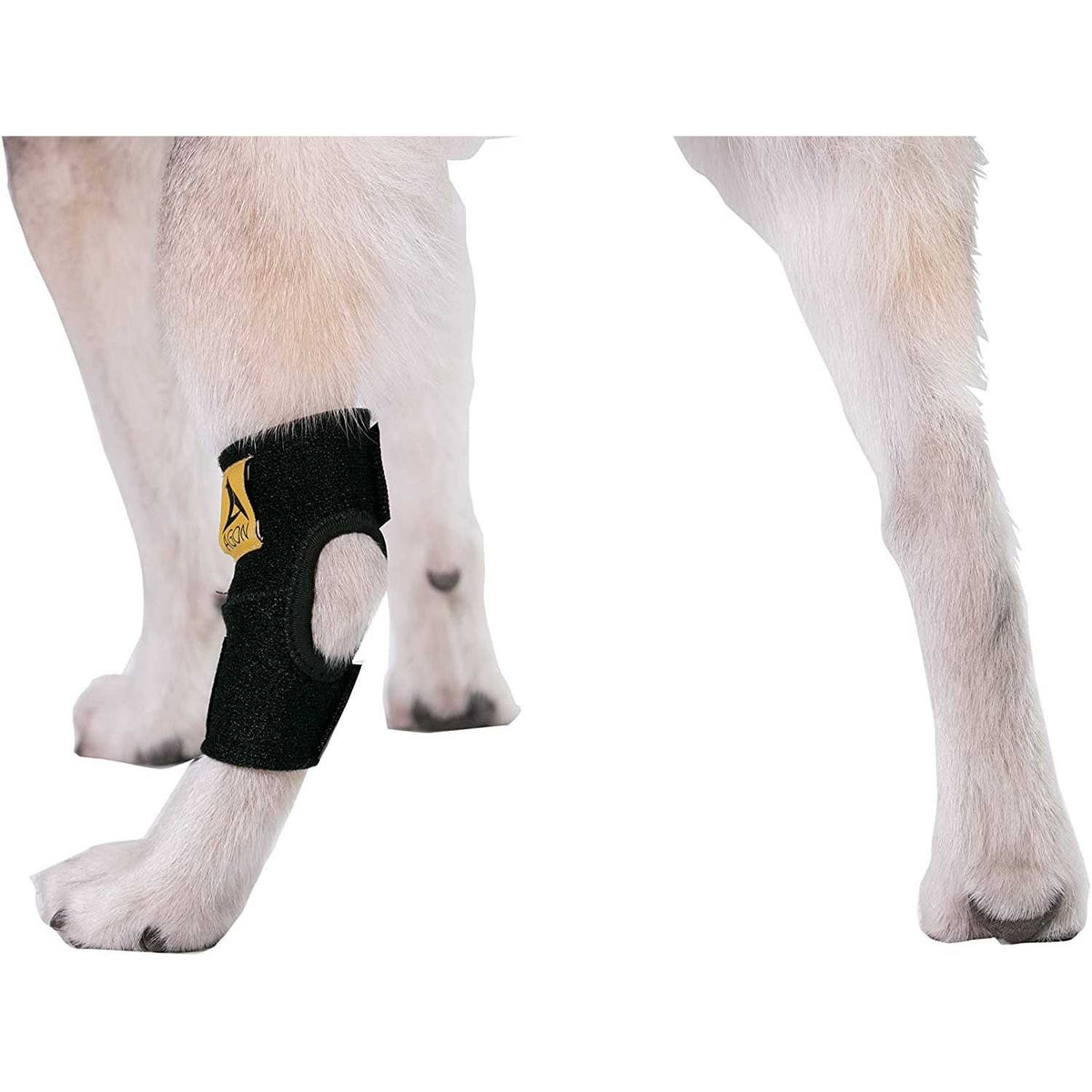 Dog Rear Hock Joint Brace Compression Wrap With Straps D423