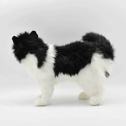 Black and White Cat Plush B549159
