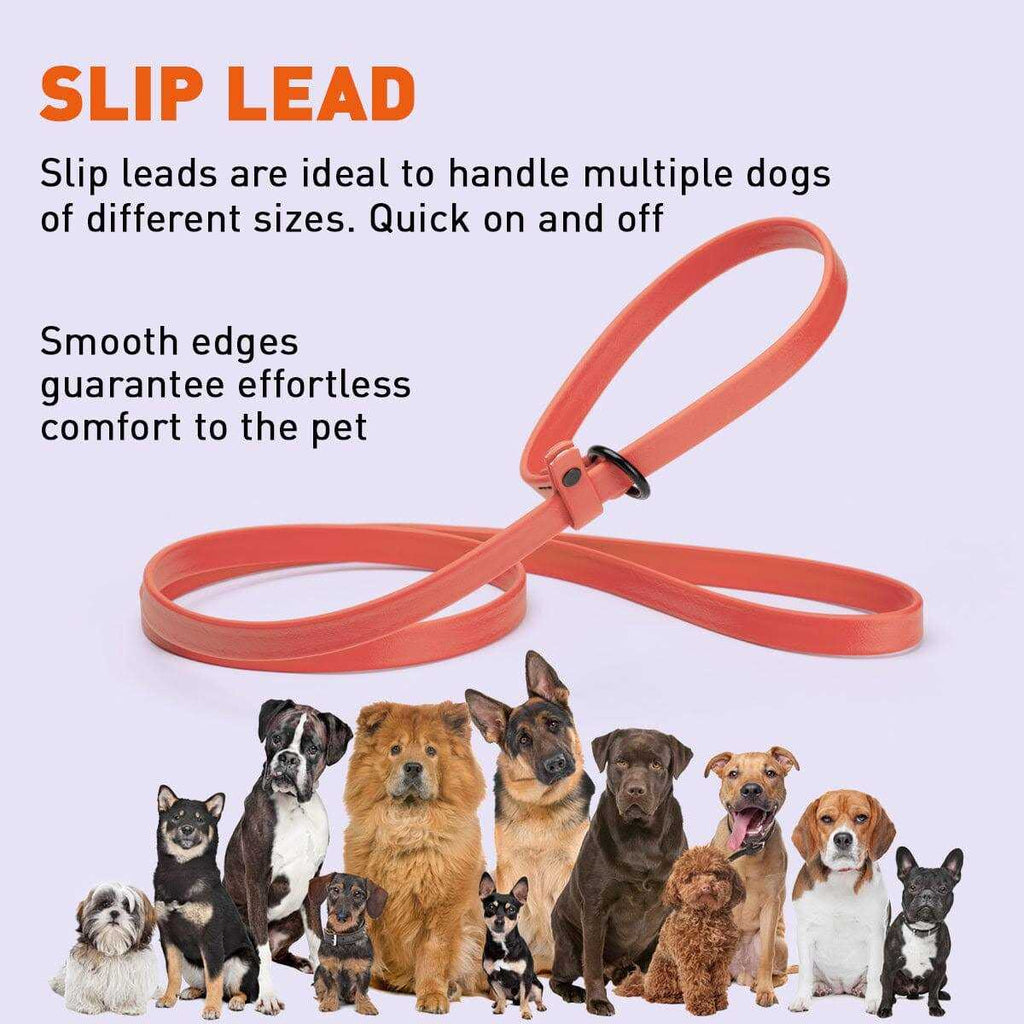 Biothane Slip Dog Leash H688760