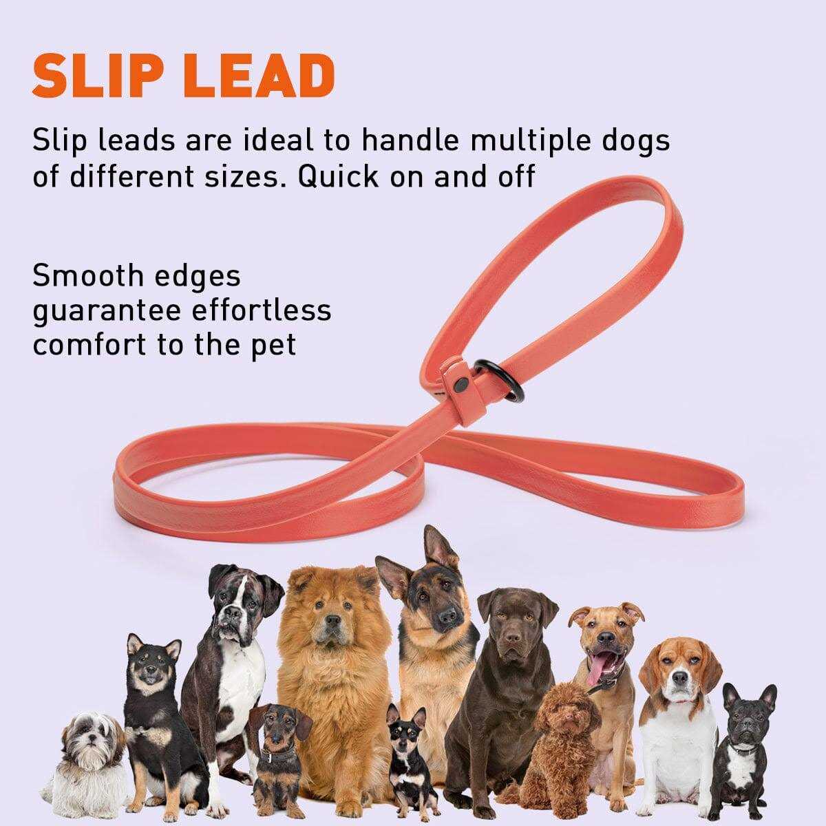 Biothane Slip Dog Leash H688760