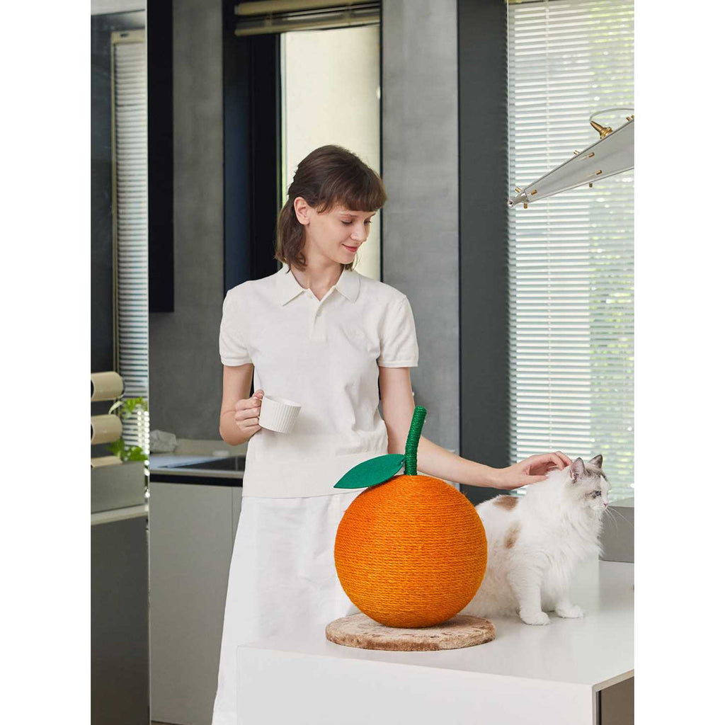 Cat Scratching Ball Toy N8527