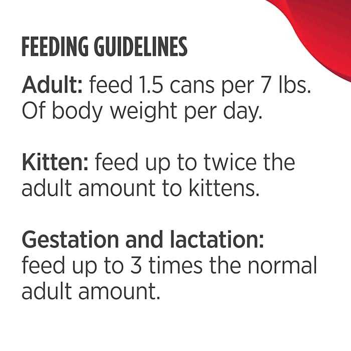 Wet Cat Food G122