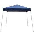 10 x 10FT Waterproof Oxford Pop Up Canopy Tent with Carry Bag D855602