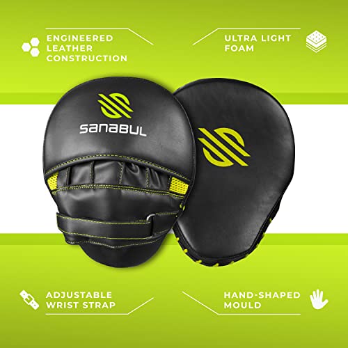 Curved Punching Mitts for Boxing U8242