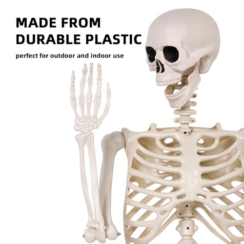 5.4 ft Life Size Posable Plastic Skeleton Y22234