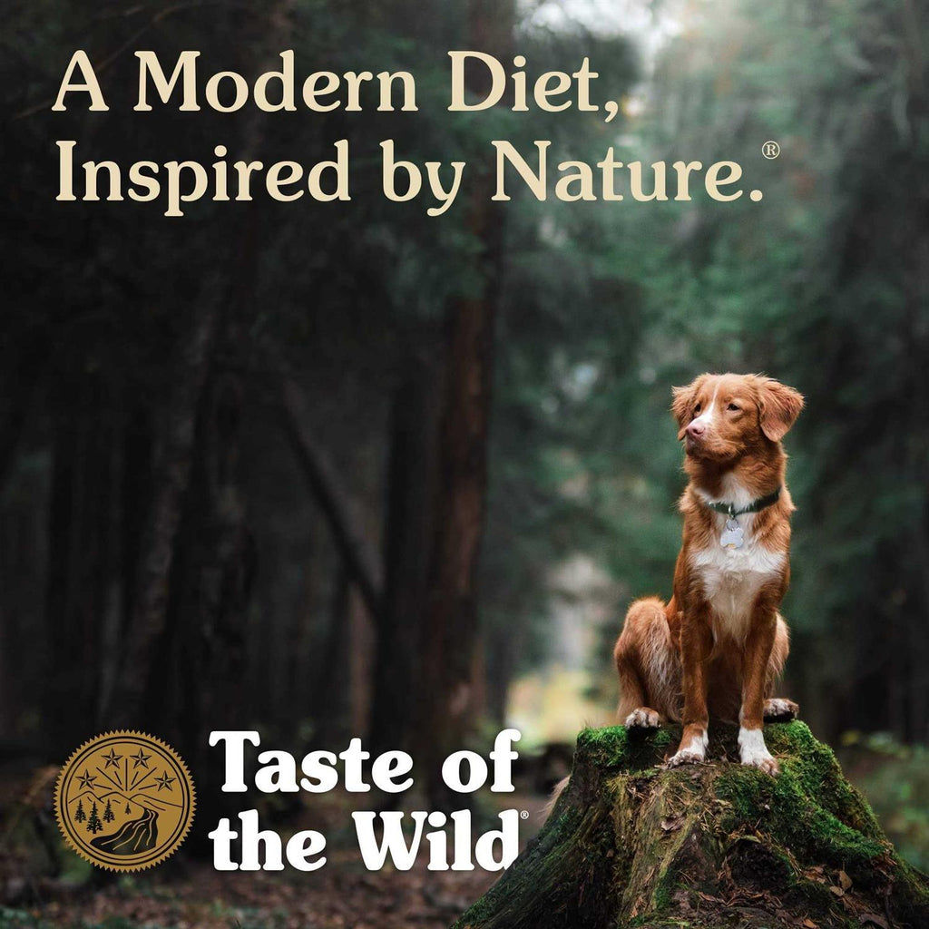 Pine Forest Dog Food Y1879
