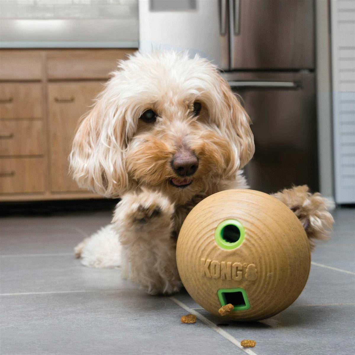 Bamboo Feeder Ball Dog Toy J5661