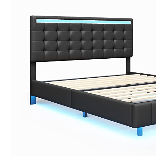 Queen Size LED Bed Frame with USB Charging O2761