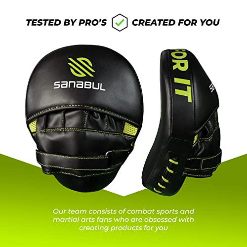 Curved Punching Mitts for Boxing U8242