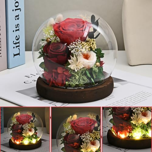 Rose in Glass Dome with LED Light L729