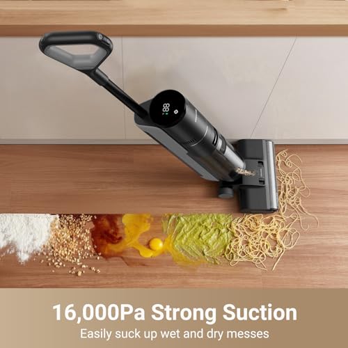 Wet Dry Vacuum Cleaner with Auto Self-Cleaning E224