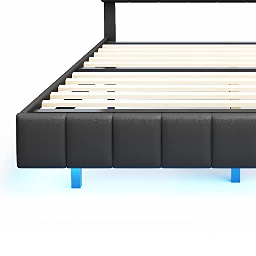 Queen Size LED Bed Frame with USB Charging O2761