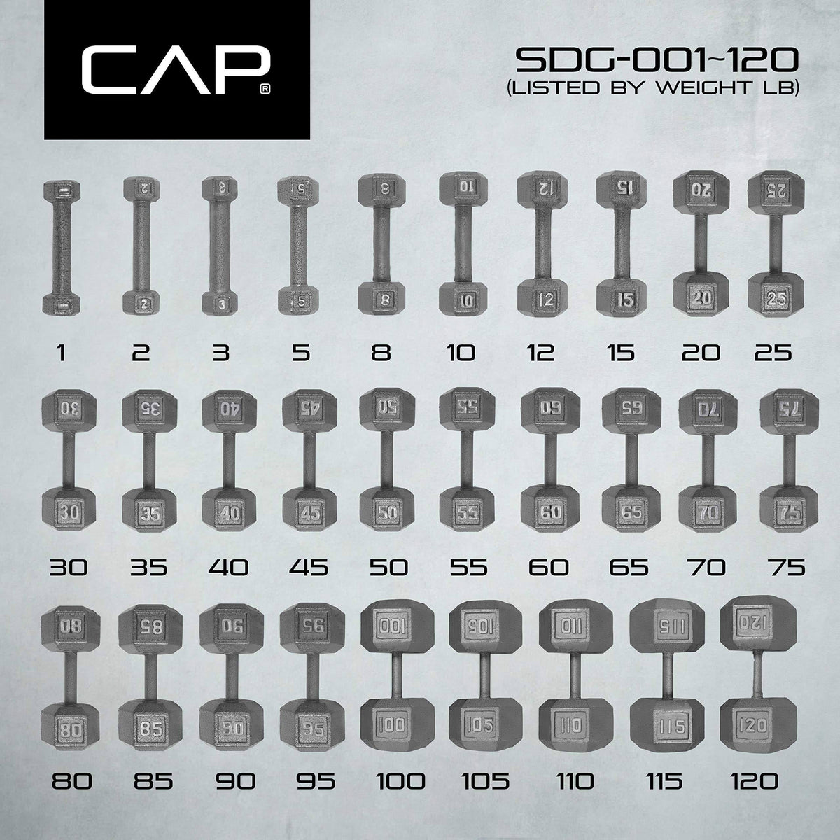 Grey Solid Hex Dumbbell 65 lbs U694
