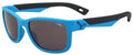 Matt Blue Black Junior Sunglasses Y981