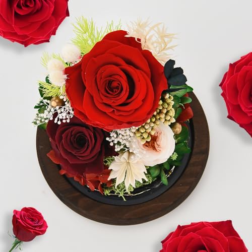 Rose in Glass Dome with LED Light L729