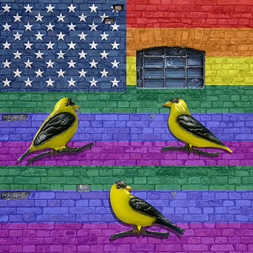 Set of 3 Metal Goldfinches Birds Wall Decorations N840703