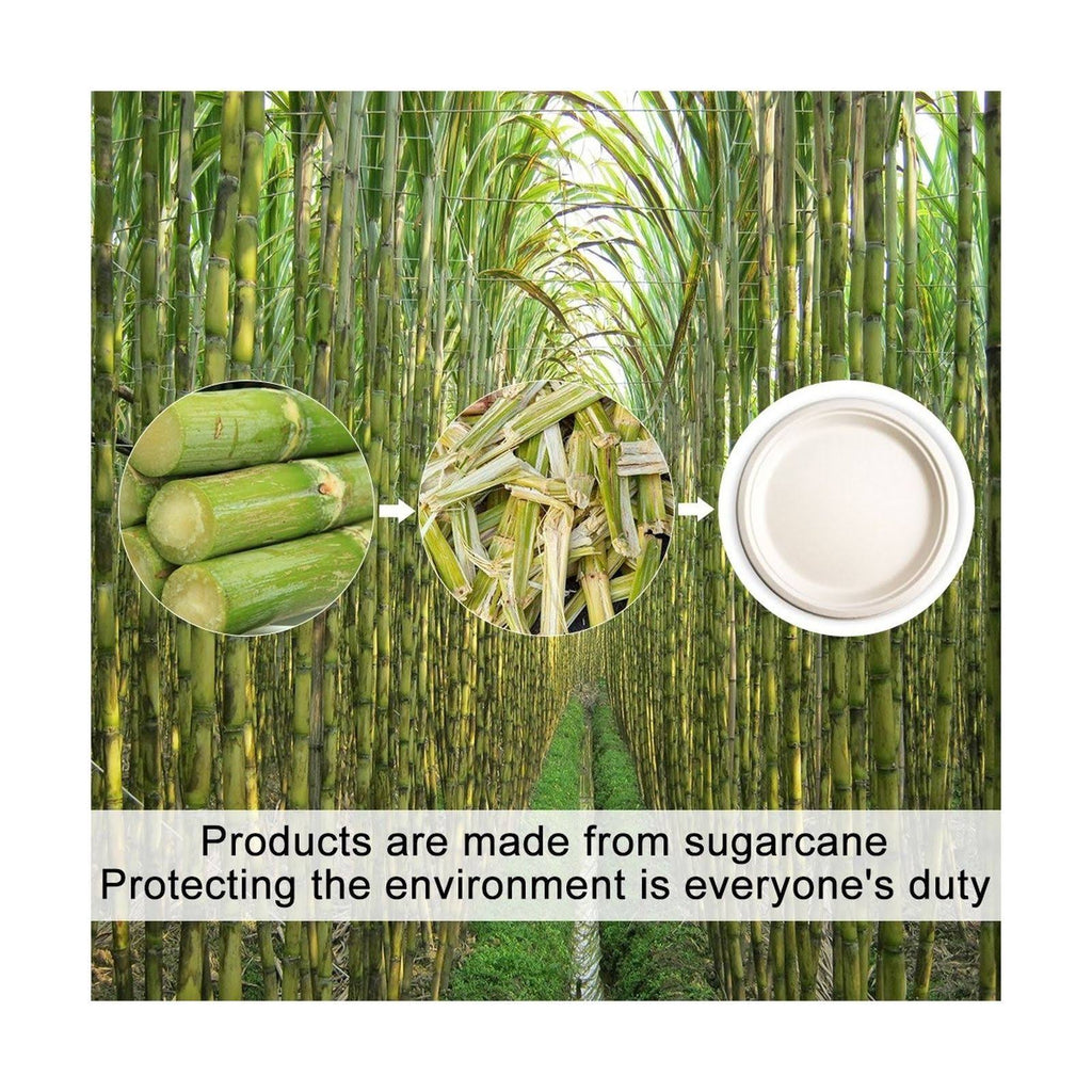 Tree Free Bagasse Paper Plate 500 Counts Disposable S774