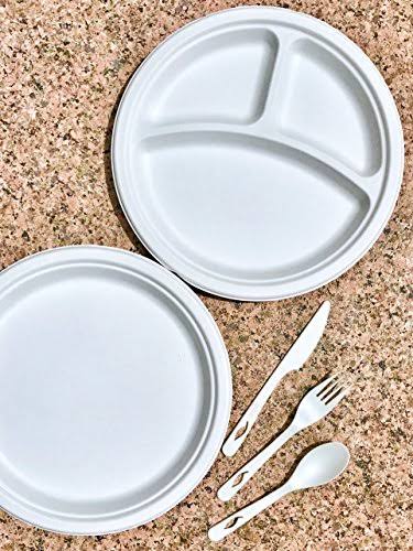 Tree Free Bagasse Paper Plate 500 Counts Disposable S774