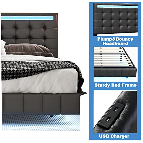 Queen Size LED Bed Frame with USB Charging O2761