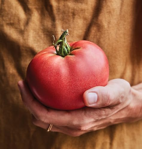Red Beefsteak Slicing Tomato, 175 Non-GMO Seeds M8990