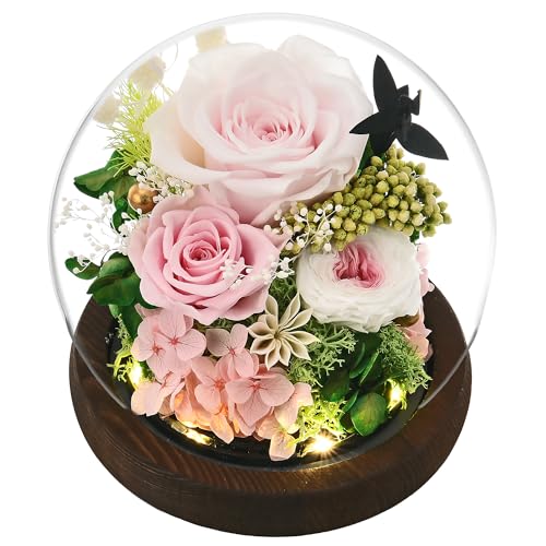 Rose in Glass Dome with LED Light L729