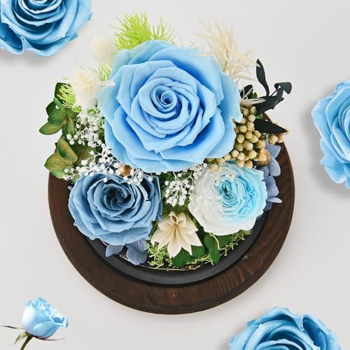 Rose in Glass Dome with LED Light L729