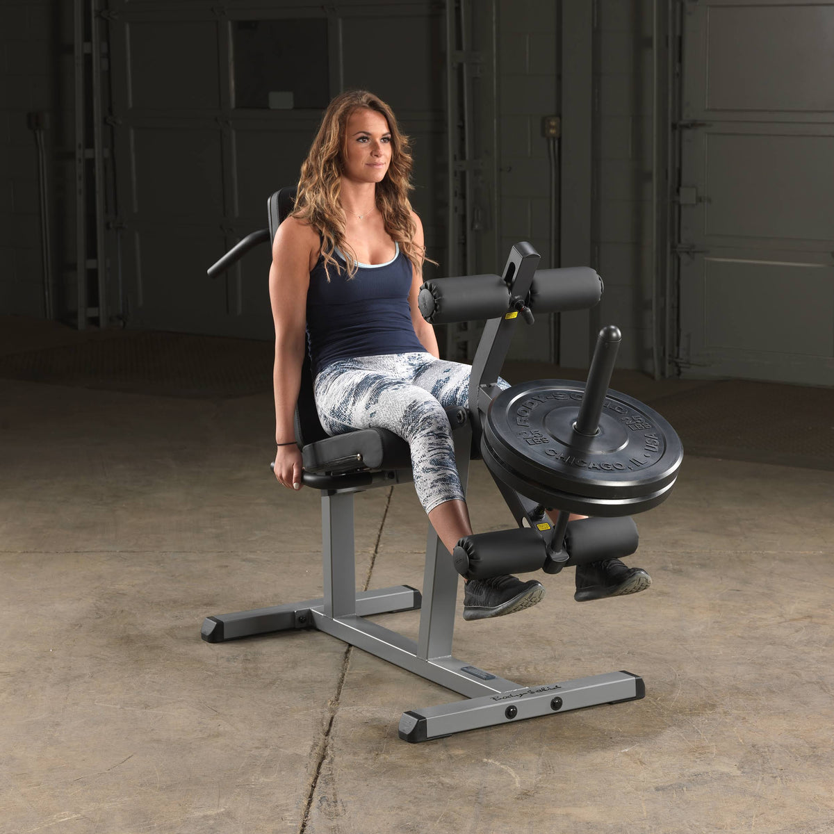 Seated Leg Extension and Supine Curl U673509