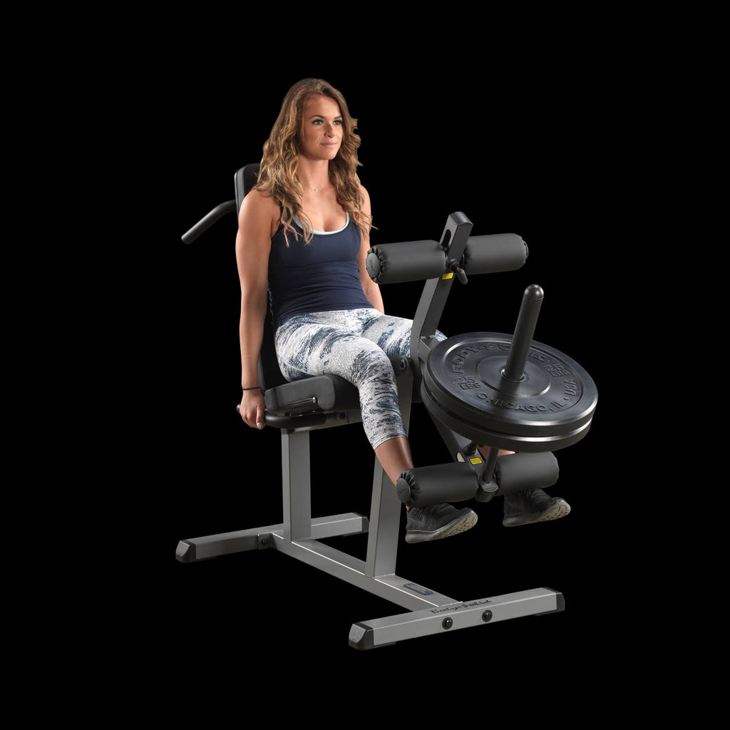 Seated Leg Extension and Supine Curl U673509