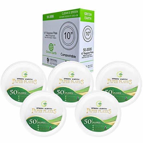 Tree Free Bagasse Paper Plate 500 Counts Disposable S774