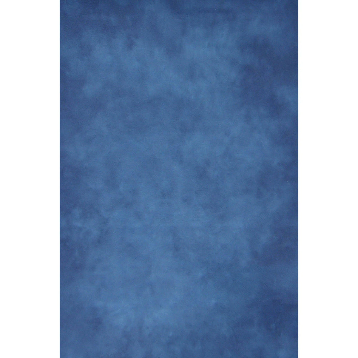 Hand-Painted Canvas Backdrop Z76504