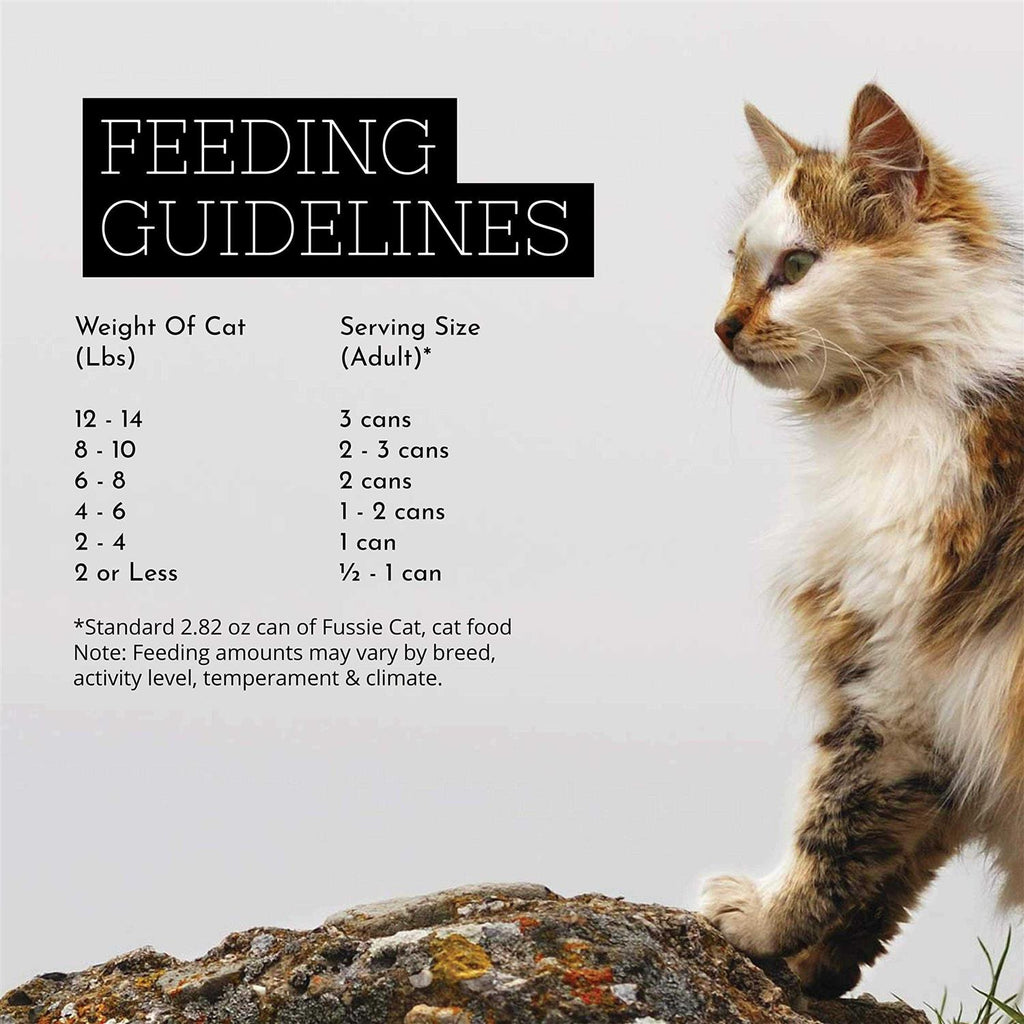 Chicken Gravy Cat Food O516