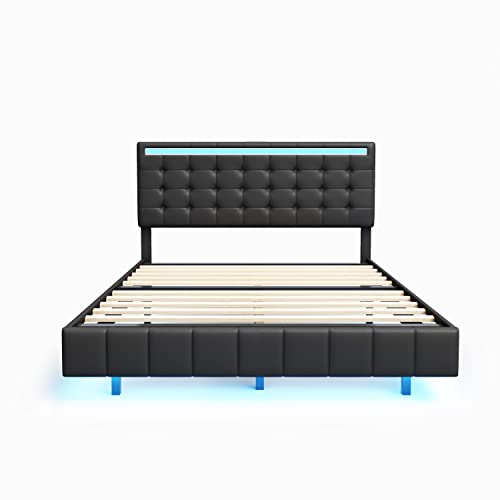 Queen Size LED Bed Frame with USB Charging O2761