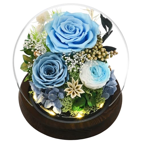 Rose in Glass Dome with LED Light L729
