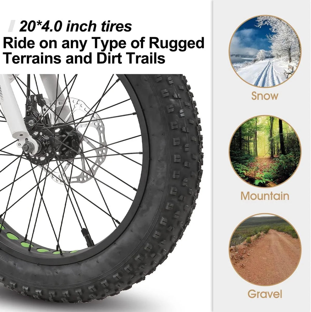 20 inch Kids Fat Tire Mountain Bike O726