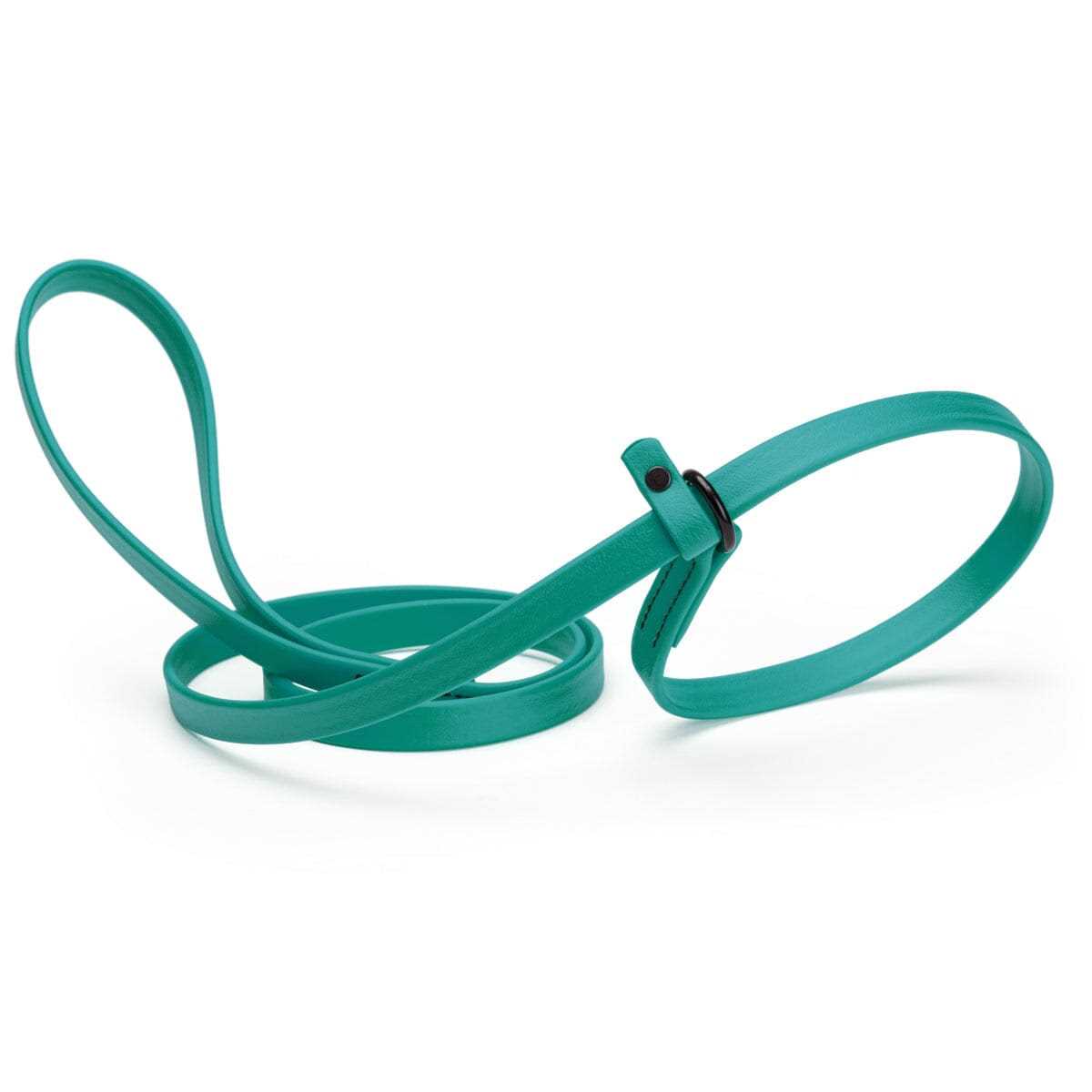 Biothane Slip Dog Leash H688760