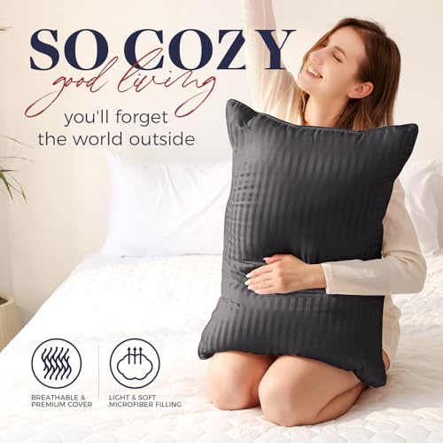 King Size Down Alternative Pillows Set of 2 V40618