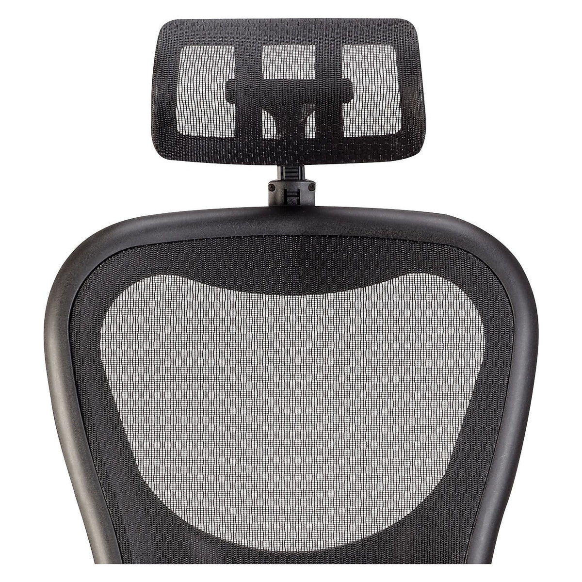 Headrest Y455157