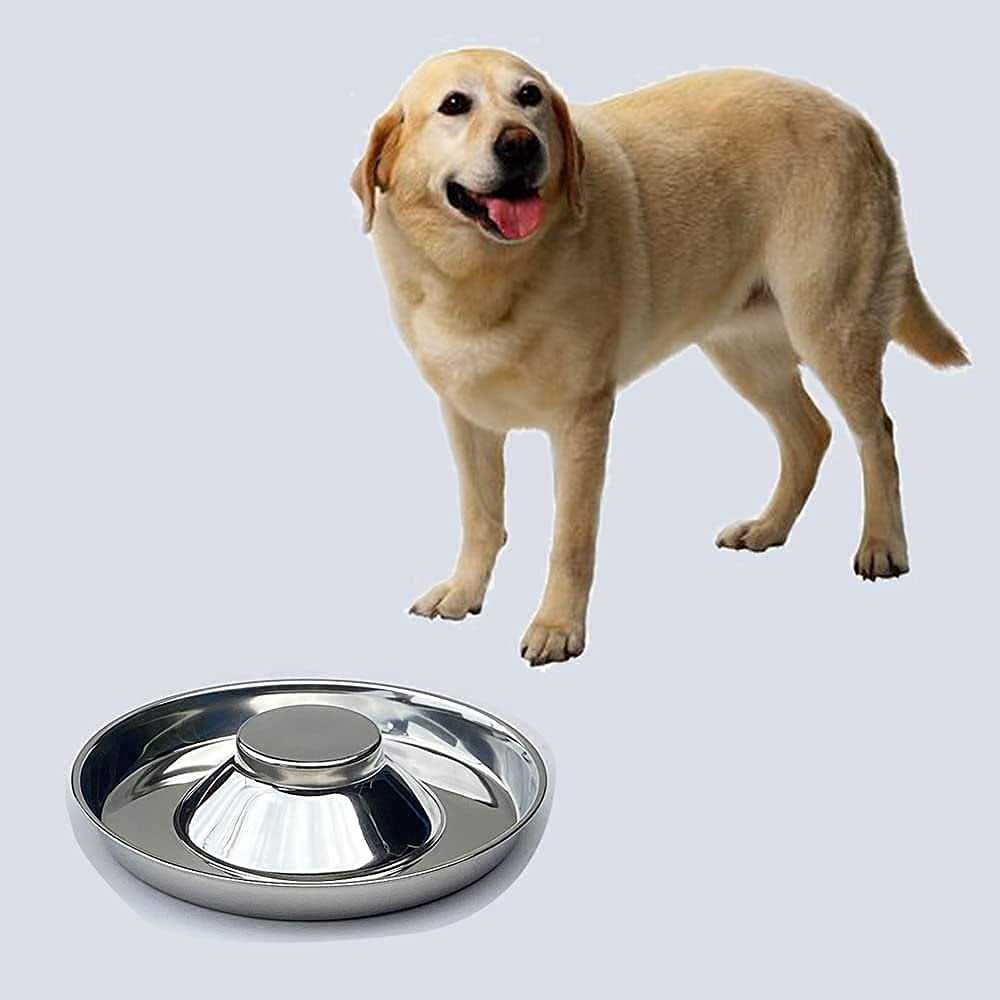 Puppy Feeding Bowls for Small Dogs C78146