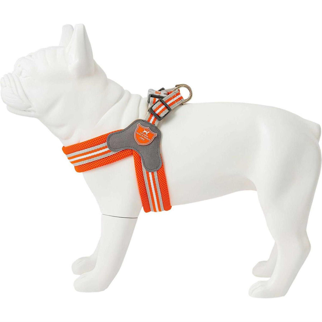 Dog Harness R4774
