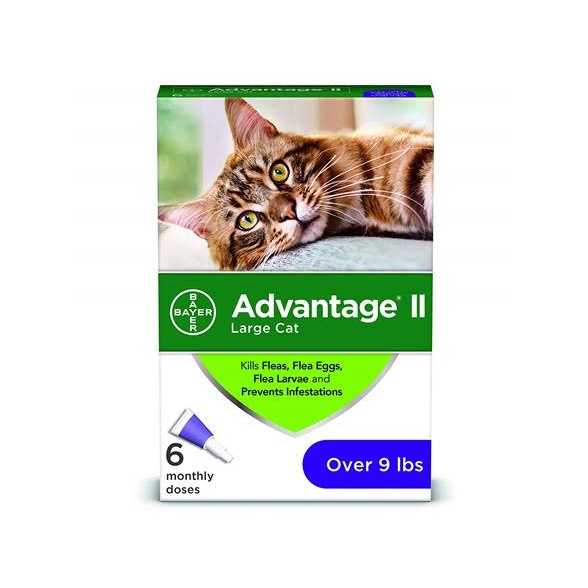 Large Cats Over 9 lbs L5632